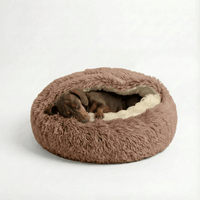Chocolate Brown