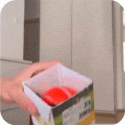 KeepChasing™ Smart Ball Keeps your dog busy when you can't