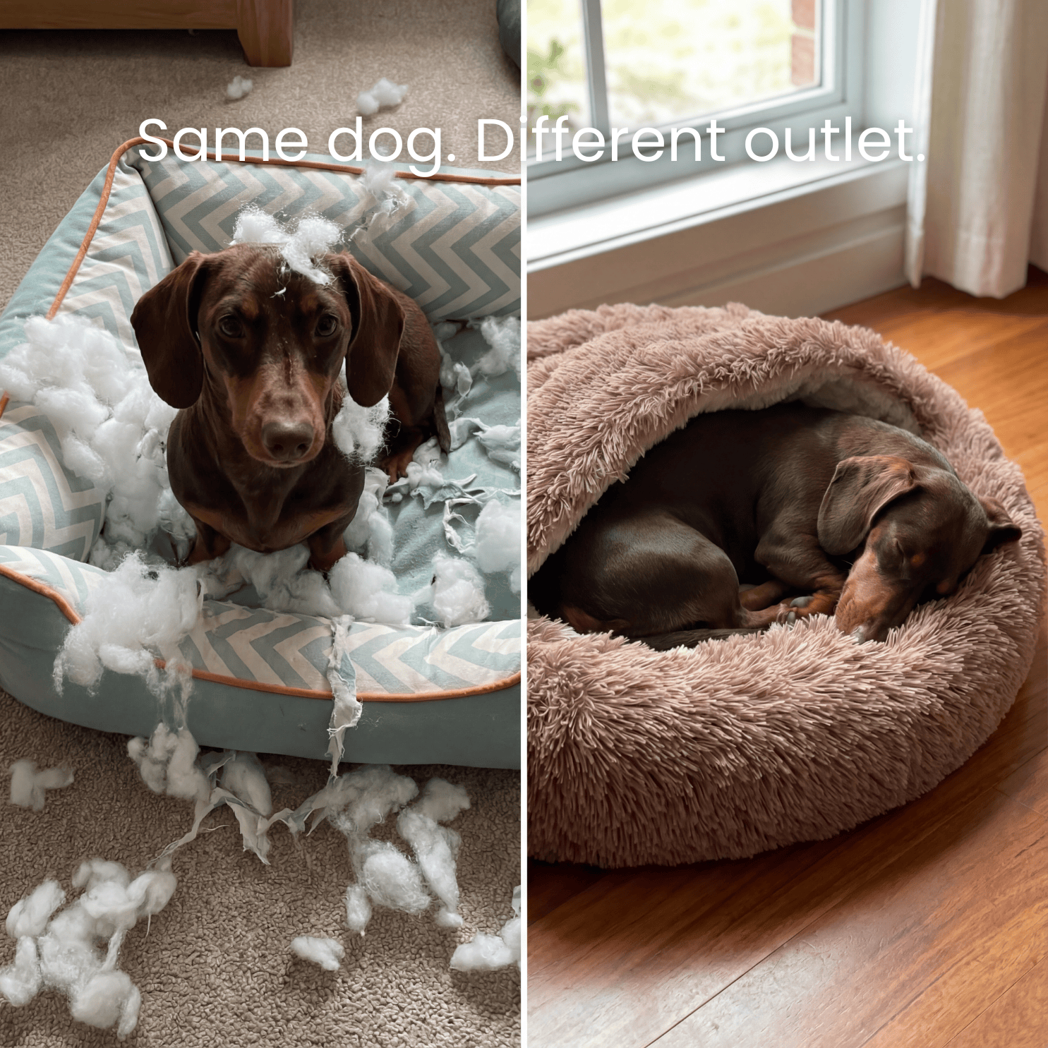 NapFriends Cavebed – Het originele rustgevende holbed
