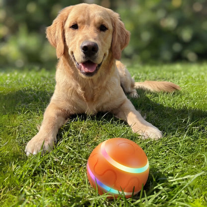 KeepChasing™ Smart Ball Keeps your dog busy when you can't