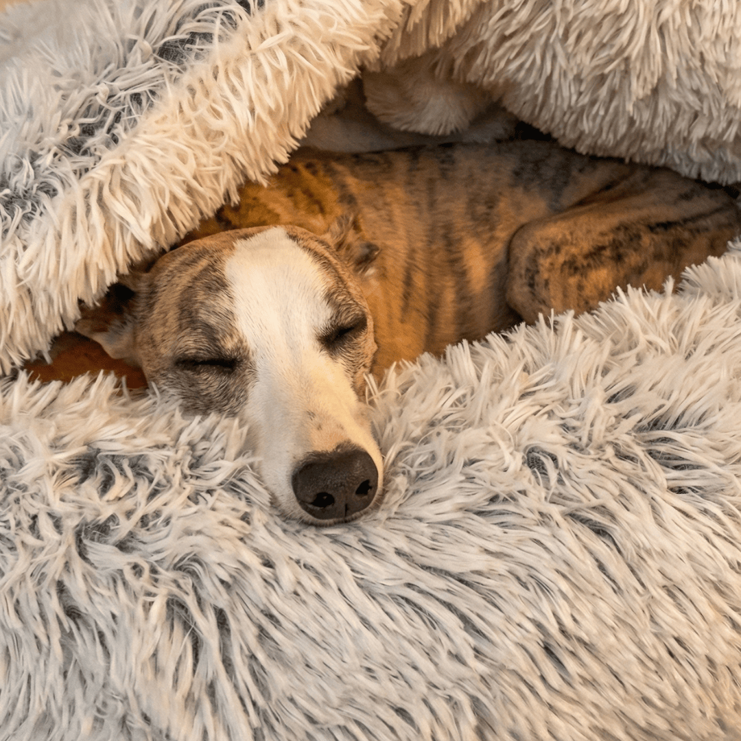 NapFriends Cavebed – The Original Calming Burrow Bed